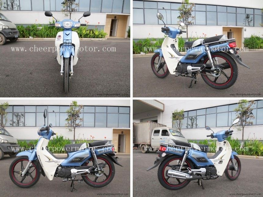 110cc four-stroke bear motorcycle