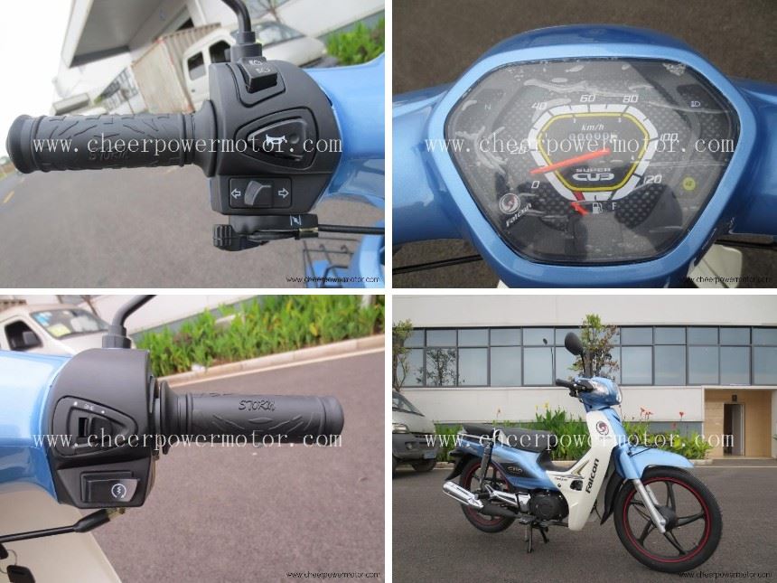 110cc four-stroke EEC bear motorcycle
