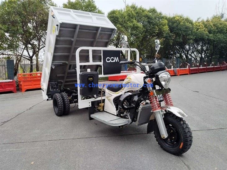 250cc water cooling engine dumper tricycle (20)